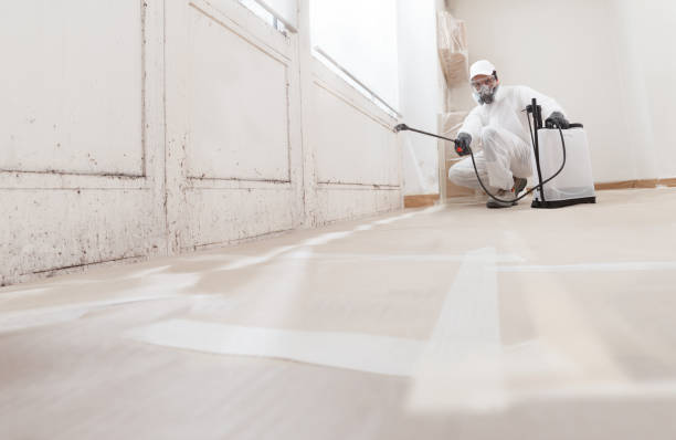 24/7 Emergency Black Mold Remediation experts in Suffolk, VA