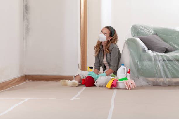 Reliable Black Mold Remediation contractor in Suffolk, VA by 24 Hour Mold Removal